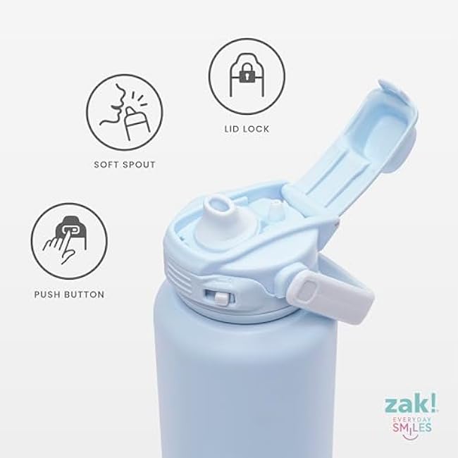 Zak Designs Beacon Straw Lid Water Bottle for Travel or At Home, 32oz Stainless Steel is Leak-Proof and Vacuum Insulated with Silicone Spout, Cover, Carry Handle, Protective Base (Provence Blue)