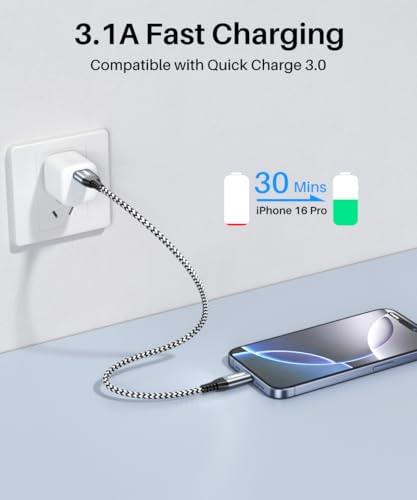 Image of LDLrui 1FT USB A to USB C Cable 1Pack