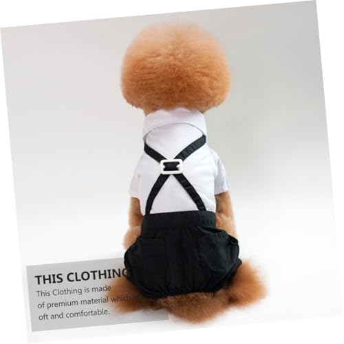 Disfraz elegante para perro talla L miniatura 5