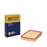 Hengst Air Filter