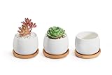 Opps White Ceramic Cute Succulent Cactus Plant Pot with Bamboo Tray – Pack of 3