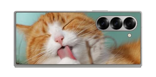 ClearView TX Galaxy Z Fold6p vg w ی tB { vg 킢lR