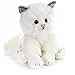 PLUSH e COMPANY PELUCHE GATTO RAJI CM 30