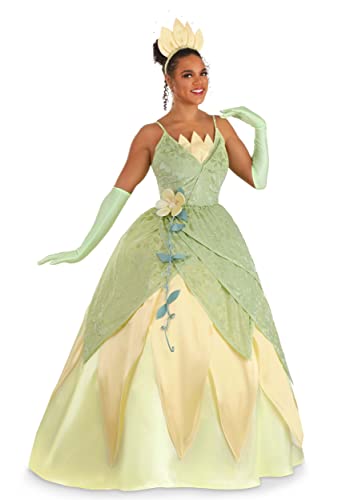 Fun Costumes Disneys Princess and the Frog Deluxe Tiana Costume Adult - M