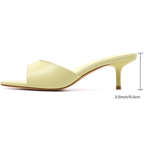 Image of Mostrin Kitten Heels for Women Pointed Toe Vintage Mules Heels Sexy Slip on Stiletto Backless Sandals for Party Wedding Daily