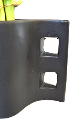 9Greenbox - Lucky Bamboo - Tear Drop Ceramic Vase #TOP3