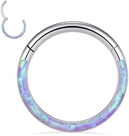 Purple Opal Septum Jewelry 16G Conch Piercing Jewelry Daith Hoops Seamless Higend Segment Nose Ring Silver Septum Clicker Rings Stainless Steel Rook Helix Ring Tragus Cartilage Lobe Earrings 8mm