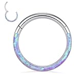 14G Septum Jewelry Purple Opal Septum Rings Silver Daith Earrings Surgical Steel Conch Hoop Earrings Seamless Nose Ring Hoops Septum Clicker Rings Rook Helix Tragus Cartilage Lobe Earrings 10mm -  PEAKLINK