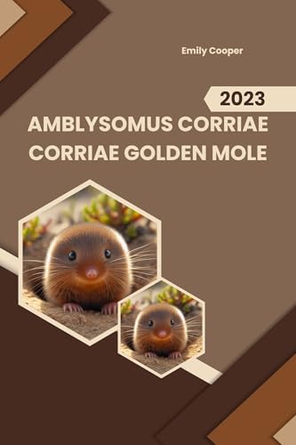 Amblysomus corriae Corriae Golden Mole (English Edition)