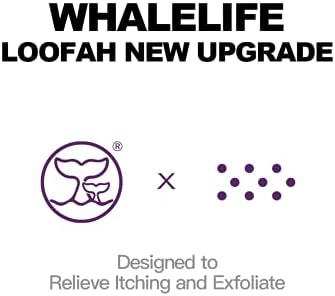 WhaleLife Bath Sponge Shower Loofahs Pouf Ball Shower Puff 4 Pack Double-Layer Exfoliation Mesh Bulk Puffs Large(60g White)