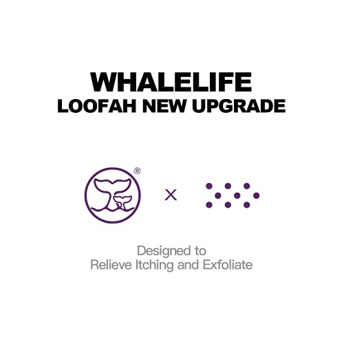 WhaleLife Bath Sponge Shower Loofahs Pouf Ball Shower Puff 4 Pack Double-Layer Exfoliation Mesh Bulk Puffs Large(60g Gray)