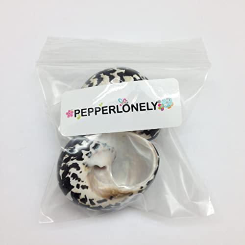 Image of PEPPERLONELY 2 PC Polished Black Banded Arapica Turbo Sea Shell, Magpie Turbo Sea Shell, Hermit Crab Sea Shells, 2 Inch ~ 2-1 /2 Inch