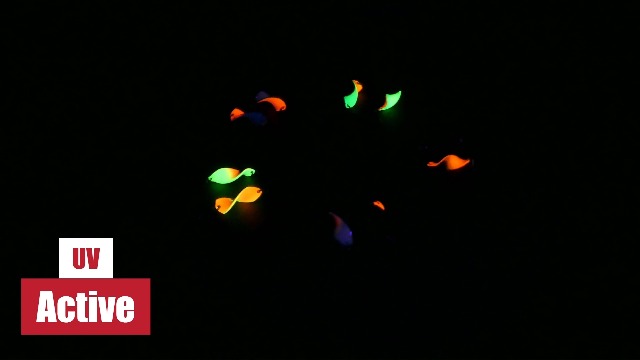 Set Esche Da Pesca Per Trote - Paradox Twister Spoons 2,5 G Con Effetto UV - Foto 8