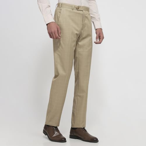 Image of Raymond Contemporary Fit Dark Fawn Trouser for Men