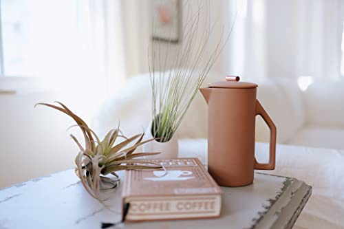 White Ceramic Wall Planter Assorted Air Plant - Live Tillandsia In Plant Holder – Succulents Plant Vase - Home And Garden Decor - Easy Care Plants (3 Small Planters With 3 Air Plants) #TOP3