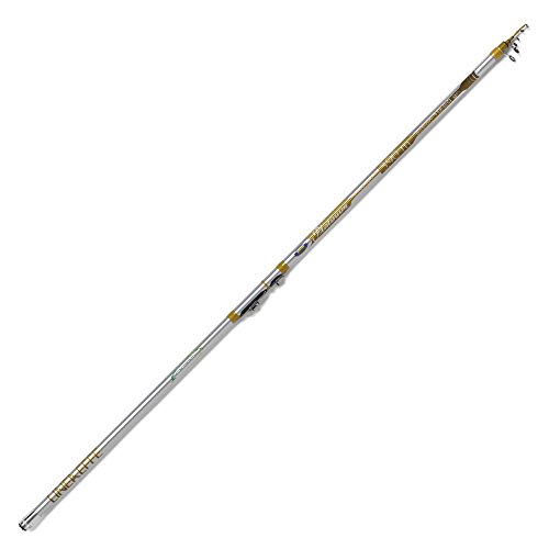 Lineaeffe Platinum Trout 3.90 m 10-20 g Canna da
