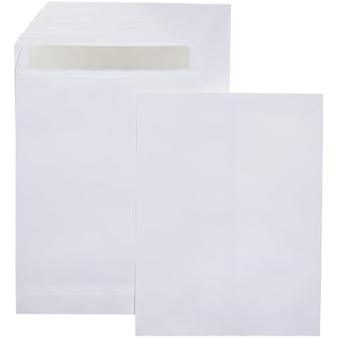 Amazon Basics 10x13 Catalog Envelopes Cover