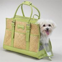 East Side Collection South Beach Pet Carrier