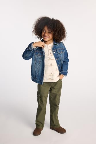 Gymboree,Boys,and Toddler Long Sleeve Thermal Henley Shirt,Hay Stacl,4 Years