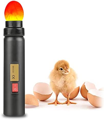 Mire oeuf LED pour incubateur, test fertilité, indicateur ponte, ...