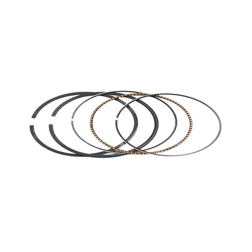Segment de piston moto 49.25mm CBR250RR KAZ MC22 Hornet 250