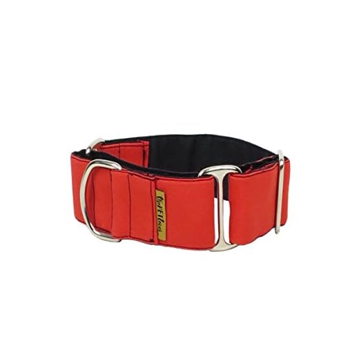 ThePetLover - Martingale-halsband voor honden rood