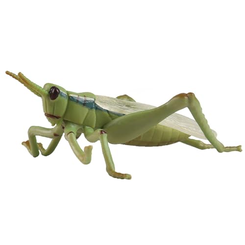 JOKFEICE Figuras de insectos, proyecto científico realista de saltamontes, juguetes de aprendizaje para Navidad, cumpleaños, decoración de tartas, regalo para niños