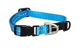 Reflective Dog Collar for Small Dogs, Adjustable from 8-13 inches, Turquoise