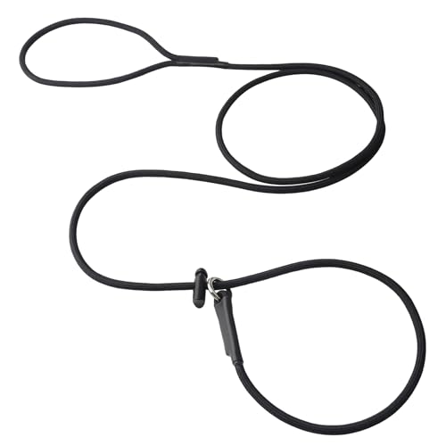 Slip Lead with Spring-Loaded Stopper