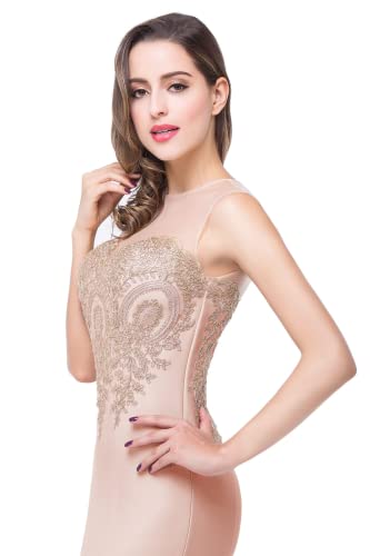 Image of BABYONLINE D.R.E.S.S. Formal Dresses for Women Bodycon Mermaid Appliques Lace Elegant Prom Dress XIN262