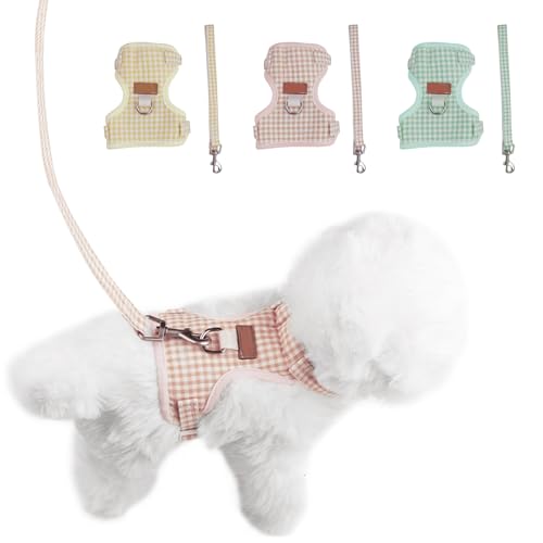 yCharming Clubz n[lX  [h Lp ^ y ֗ _炩 Ȃ ʋC h~ s⏕ U ߉\ t₷ S 1-3.5kg q qL ^ Lʗp ` i (sN, S)