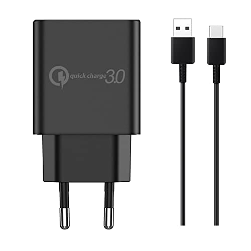 Chargeur Rapide 18W pour Blackview Outdoor Rugged 10mm Pin Long USB C Câble de Charge 1M Adaptateur Secteur pour Blackview BV9900 BV9200 BV9800 BV8800 BV7200...