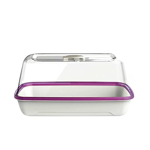 Romberg BoQube M | Zimmergewächshaus mit Belüftung | Gießöffnung | optimales Mikroklima und Platz für 18 Quelltabletten | 37 x 19 x 18 cm | Weiß/Pfl