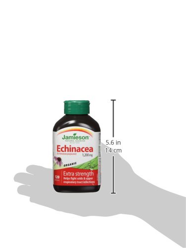 Echinacea 1000Mg #TOP4