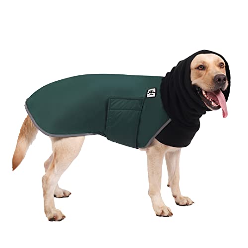 Hund Wasserdichte Jacke, Wintermantel für Hunde, Wasserdichter Winter Hundemantel, Winter Hundekleidung, Wasserdicht Hund Winterkleidung, Hund Regenmantel für Kleine Mittel Große Labrador Grün Cover