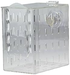 Seaside Aquatics RF100 Aquarium Acclimation/Breeding Box