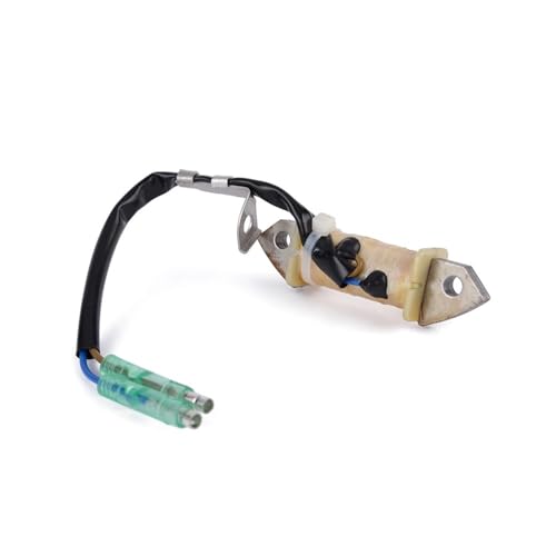 Bobine de stator contre les pannes d'allumage FT9.9D - 2