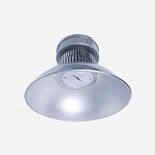 DWFF 50W 100-LED工場は電球水耕ベジ花フル・グロウ (Color : Spotlight, Size : 50w)（Amazon）