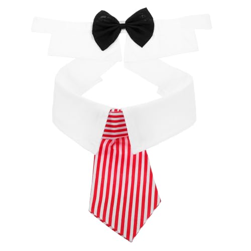 WEKADRIN ybgp߉\lN _ Lqp  p[eB[ap 킢 ubN ԃXgCv