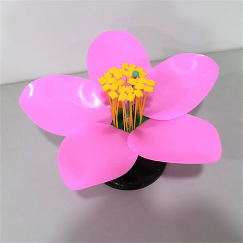 Modèle fleur de pêche échantillon plantes pour enseignement - 3