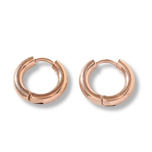 [mico.lor]  XeX t[vsAX (1) ɍ T[WJ 316L Y fB[X AM[Ή (2)1.6mm(ɍ)×a6mm sNS[h