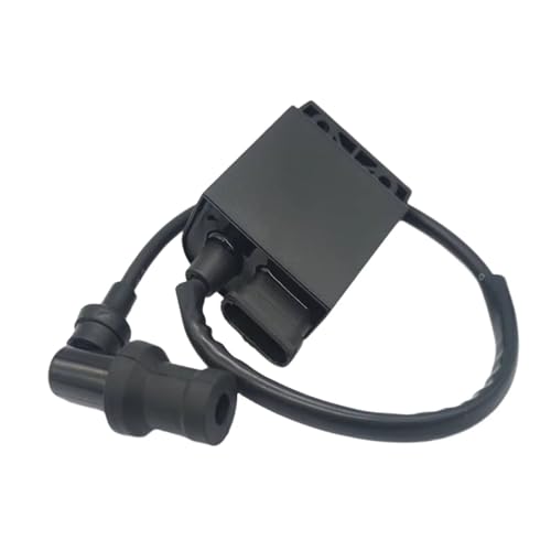 Bobine d'allumage CDI pour Piaggio Fly 100 et module d'allumeur motorisé DZ100 AC7