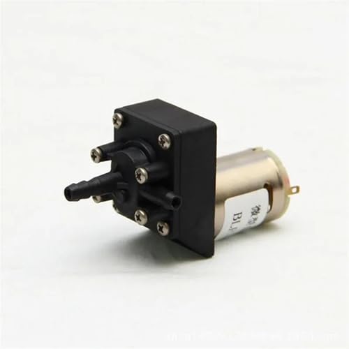 Pompe auto-amorçante 12V avec engrenages céramique pour pulvérisateur électrique
