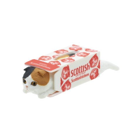 Amazon.co.jp: スコティッシュティッシュ ［5.三毛スコティッシュ