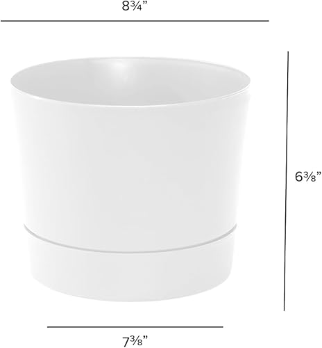 Miniatura 4 de Root & Vessel Majestic Mid-Century - Maceta cilíndrica moderna de perfil bajo, color blanco mate, 8.5 pulgadas