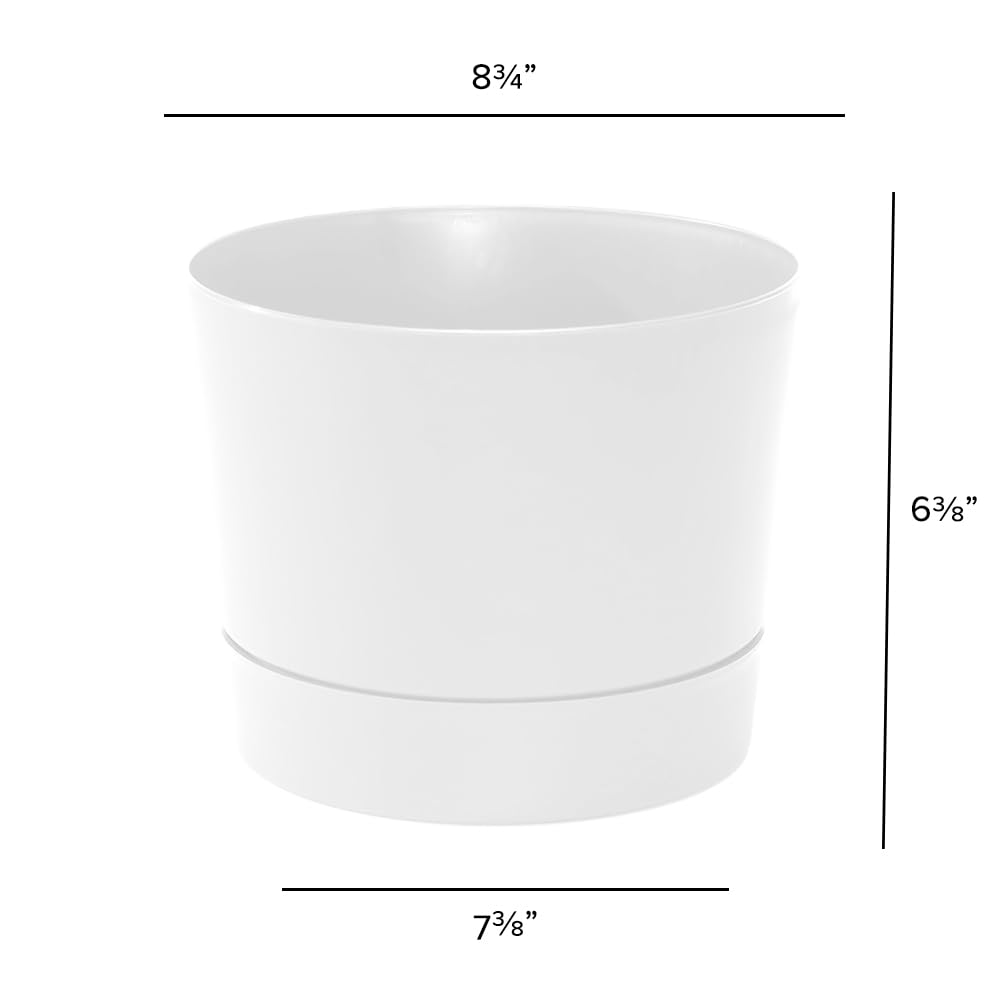 Root & Vessel Cylinder Pot, Matte White, 8.5" - Image 4