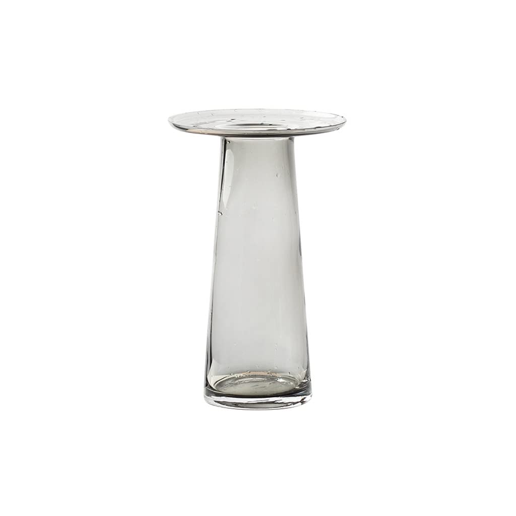 Vase hydroponique transparent pour bouture et fleur de salon 25cm