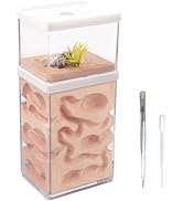 Amazon | aleawol アリの巣観察キット アリ飼育箱 蟻の巣観察キット 蟻