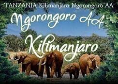 I2kg L}W SS AA R[q[ R Ɩp   (̂܂܁j