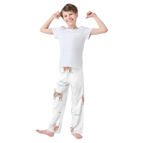 Dog and Bird Boys Pants Boys Athletic Pants Long Pant for Boy with Pockets Wide-Leg Size 6-14Y3